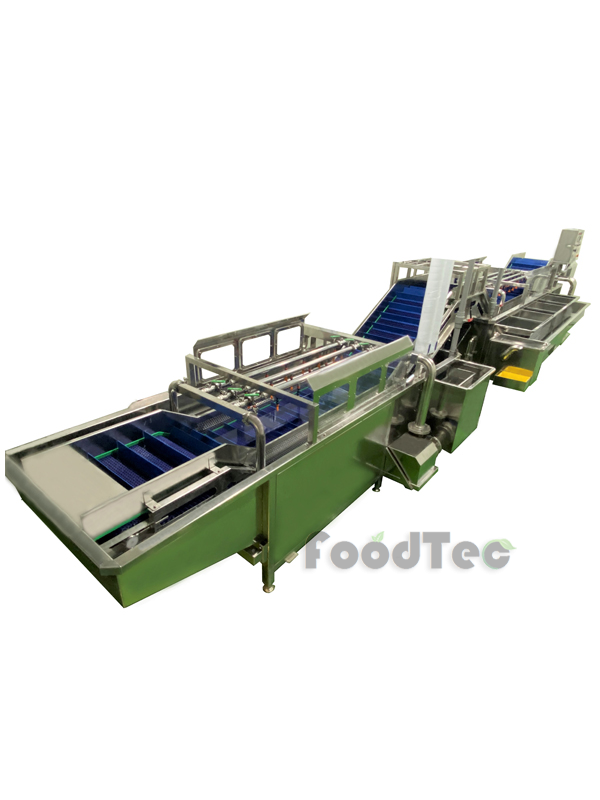 Fruit processing  lines